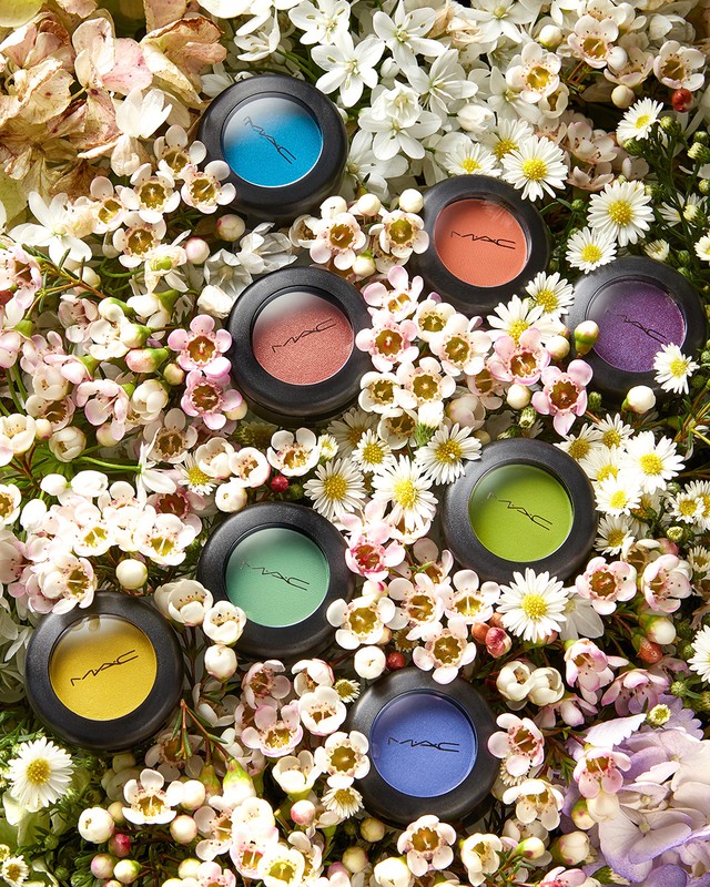 Round cosmetic eyeshadow compacts nestled among white flowers with yellow centers and foliage.