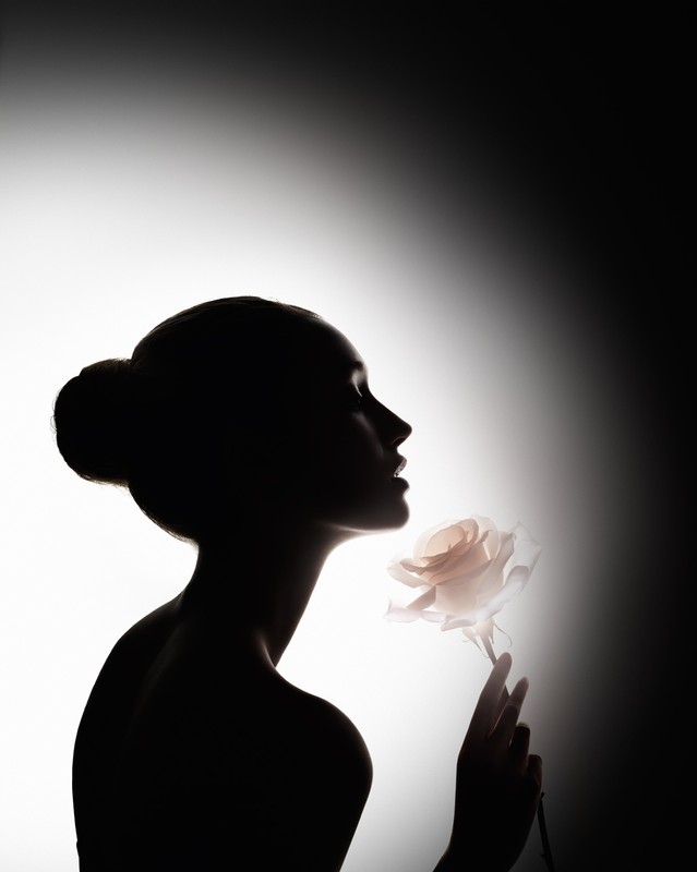 Silhouette of a woman's profile holding a rose, illuminated against a graduated dark-to-light background. Beauty shot.