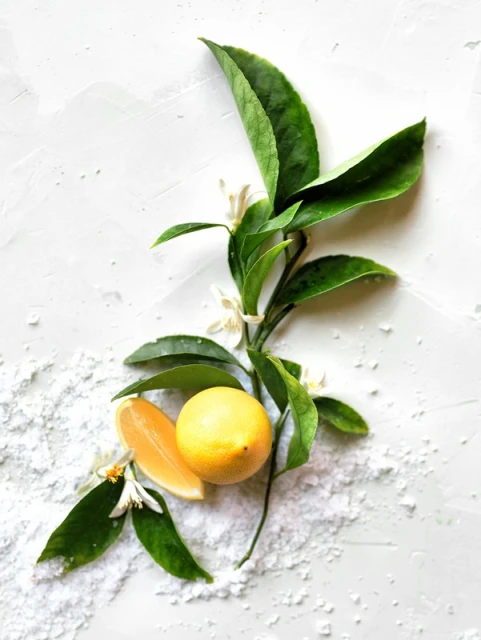 Overhead shot of fresh lemons with leaves and blossoms on a white textured surface, showcasing the vibrant colors and natural arrangement.