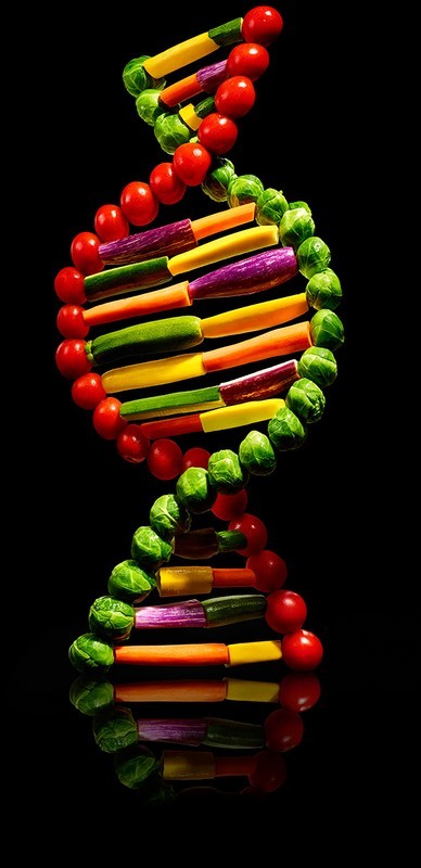 Vegetable DNA strand on black background. Brussels sprouts, tomatoes, zucchini, carrots, and eggplant arranged in a helix formation.