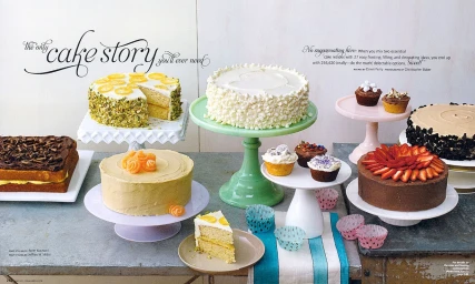 An array of various decorated cakes and cupcakes displayed on pastel cake stands and plates on a rustic table.