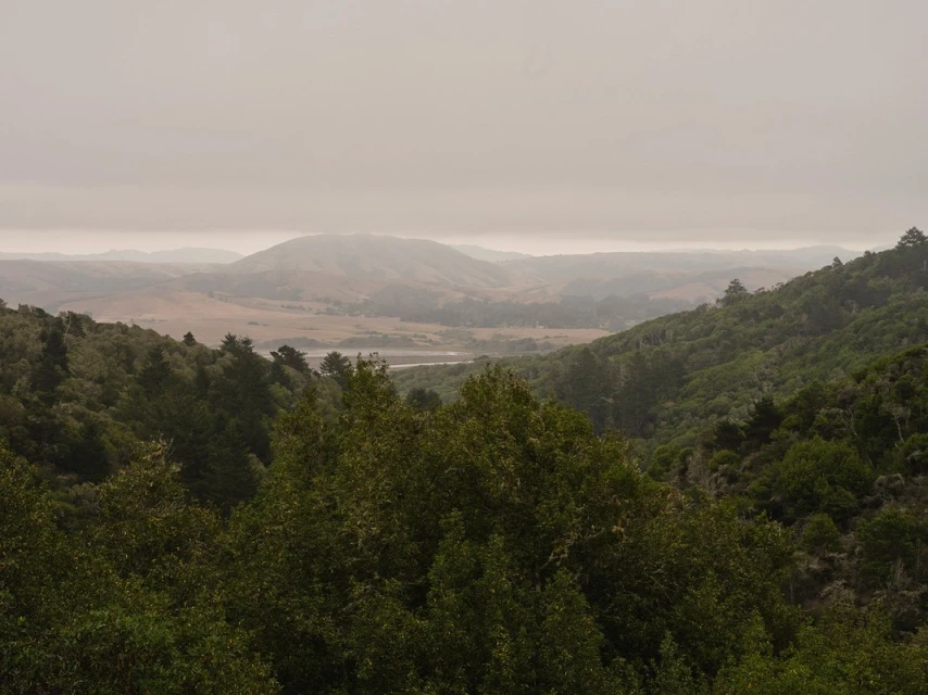 Landscape view of rolling hills and dense green trees under a foggy sky, creating a serene and muted atmosphere.