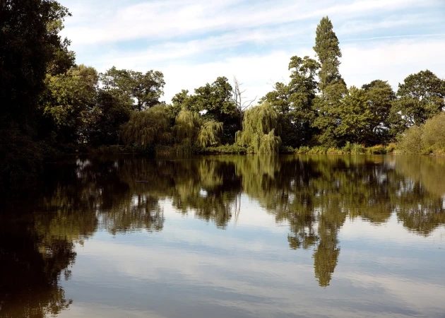 Calm water of a lake reflecting a dense treeline and scattered clouds in the sky above