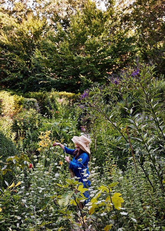 Woman in blue dress and straw hat tending to a lush garden with abundant greenery, flowers, and foliage in natural lighting.