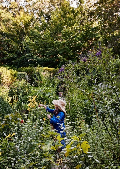 Woman in blue dress and straw hat tending to a lush garden with abundant greenery, flowers, and foliage in natural lighting.