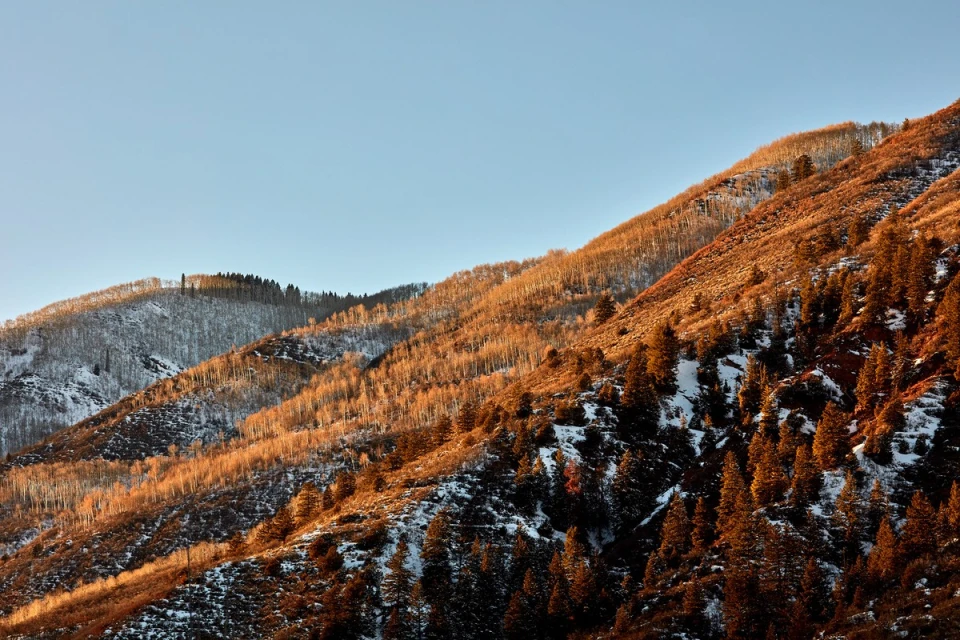 Scenic view of forested mountains in winter with scattered snow cover under a clear sky during golden hour.