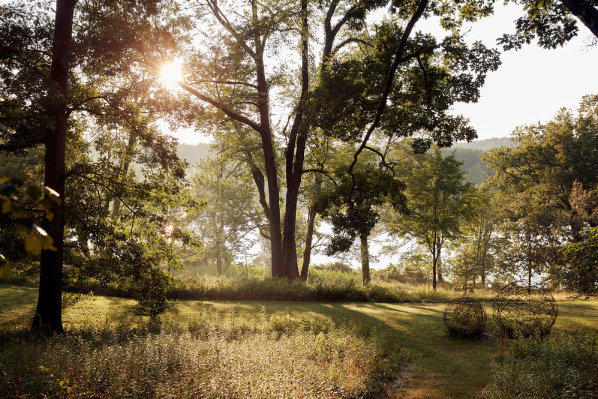 Scenic landscape featuring a sunlit meadow surrounded by trees, creating a tranquil outdoor scene with a path leading into the distance.