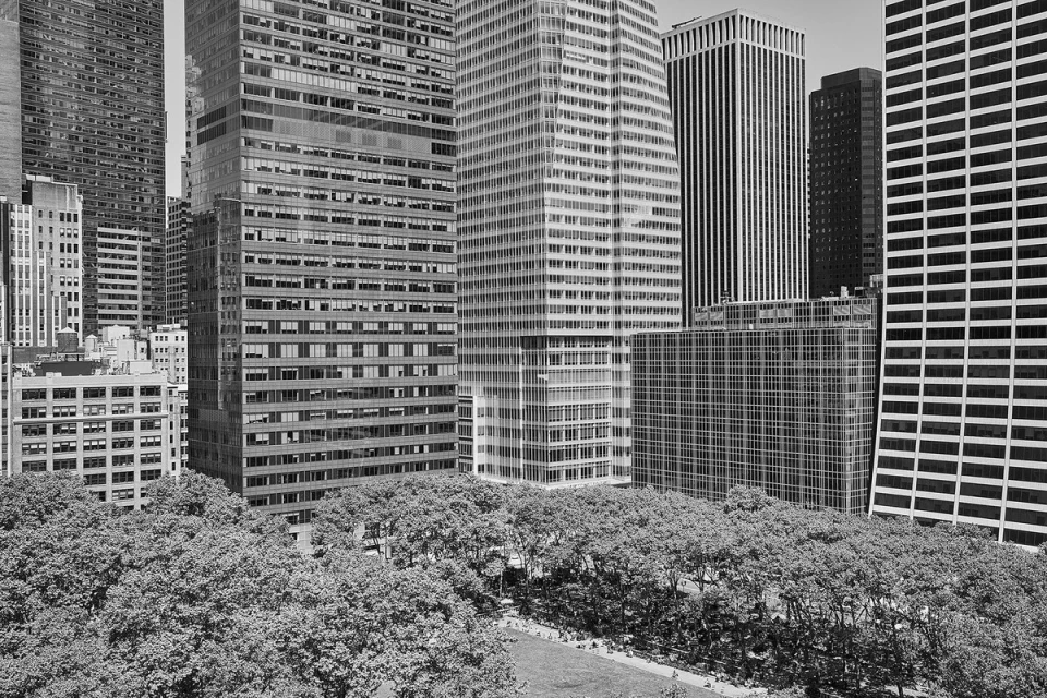High-angle, monochrome view of dense city buildings behind trees in a park, showcasing urban landscape and architecture.