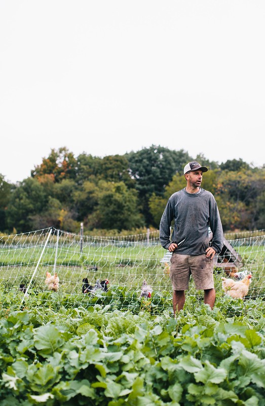Adult male farmer stands amid leafy green crop near a chicken coop on a farm, wearing shorts and a baseball cap outdoors.