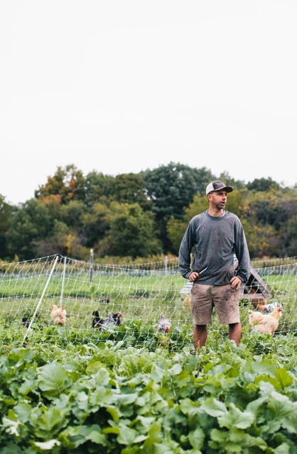 Adult male farmer stands amid leafy green crop near a chicken coop on a farm, wearing shorts and a baseball cap outdoors.