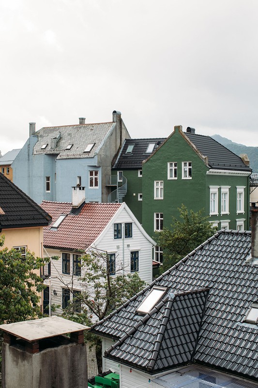 Residential neighborhood featuring a cluster of multi-story houses with various roof styles and colors against a cloudy sky.
