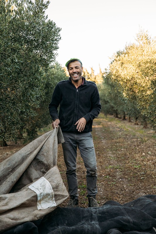 A smiling adult male in an olive grove holds a burlap sack with netting on the ground in a sunny, outdoor shot. Harvest season.