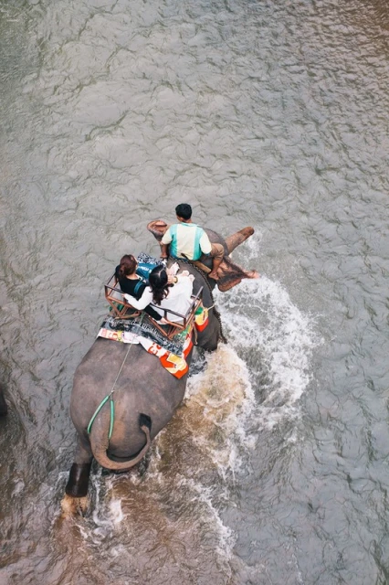 Overhead view of an elephant carrying three people wading through a river, creating a splash of water in a scenic outdoor environment.