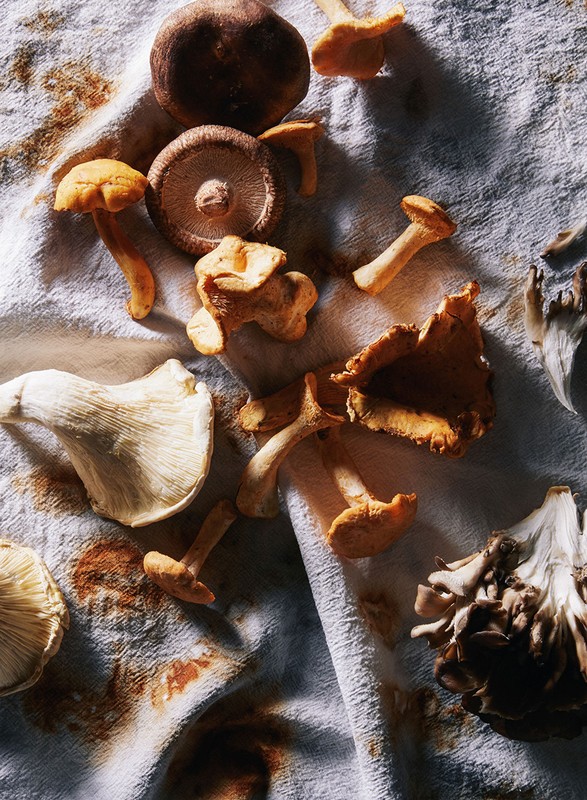 Overhead view of assorted raw mushrooms including shiitake and chanterelles scattered on a white textured cloth background.