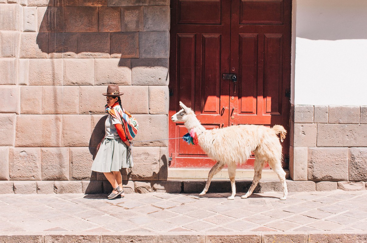 Woman in traditional Andean clothing walking next to a white llama on a cobblestone street in front of a red door and stone wall.