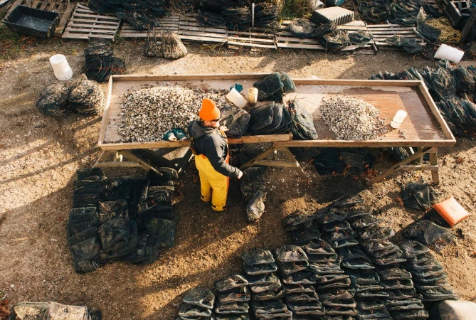 Overhead view shows worker standing at a table filled with oysters and bags on a farm, with piles of oyster bags surrounding him.