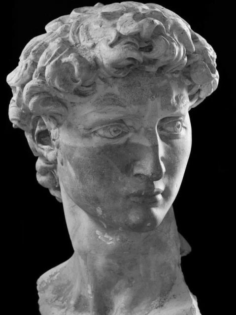 Head and shoulders portrait of a monochromatic stone sculpture depicting a male with curly hair against a dark background.