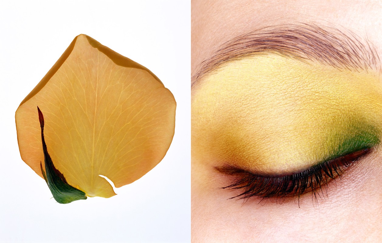 Macro beauty shot featuring a golden rose petal beside a close-up of an adult female eye with yellow and green eye shadow.