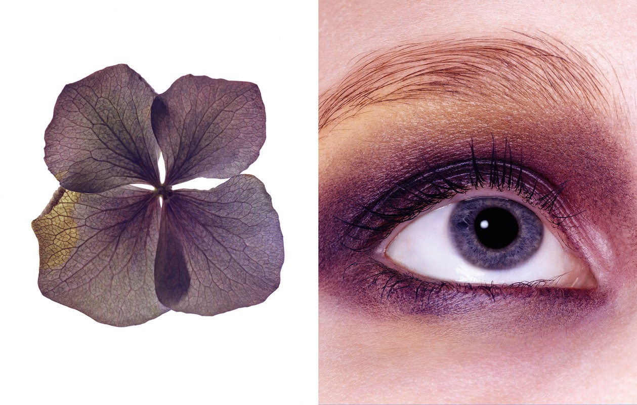Close-up shot juxtaposes a violet hydrangea flower with a woman's eye featuring purple eye shadow makeup, set against a white backdrop.