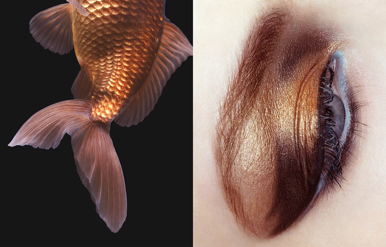 Close-up diptych of a goldfish tail and a human eye with metallic gold makeup on a pale skin background. Beauty and nature concept.