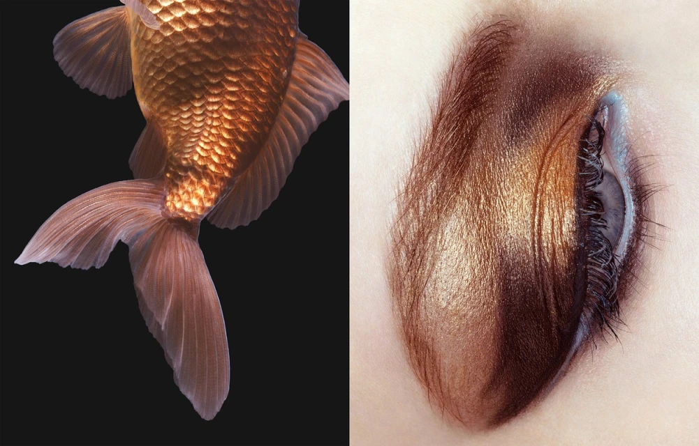 Close-up diptych of a goldfish tail and a human eye with metallic gold makeup on a pale skin background. Beauty and nature concept.