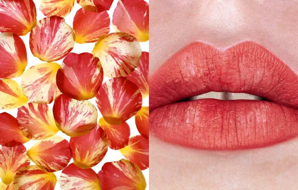 Close-up beauty shot featuring a woman's red lipstick-covered lips against a background of red and white rose petals creating a vibrant and lush aesthetic.