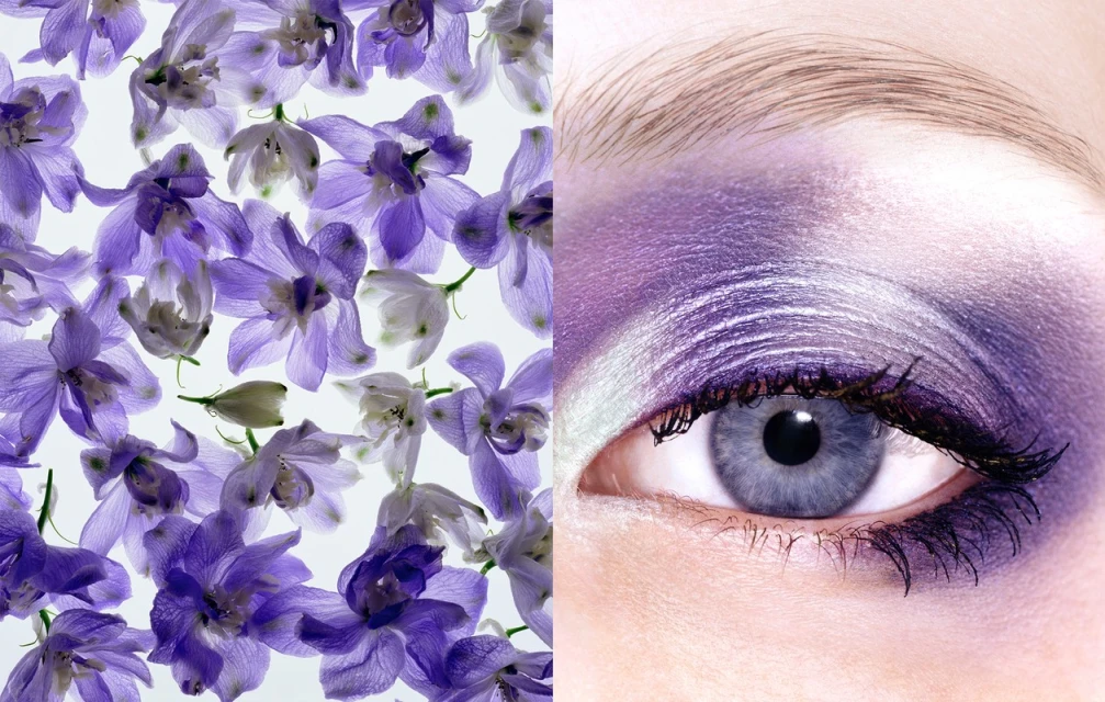 Close-up composition featuring a human eye with vivid purple eyeshadow and scattered purple flowers against a bright, clean white background.