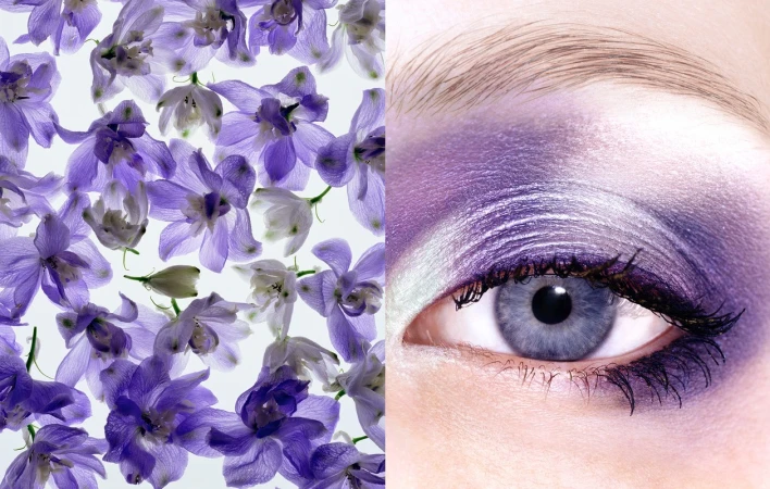 Close-up composition featuring a human eye with vivid purple eyeshadow and scattered purple flowers against a bright, clean white background.