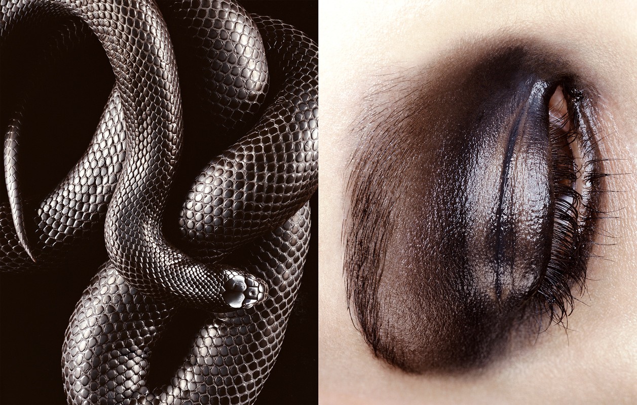 Dark makeup close-up with a black snake featuring intricate scale details on a black background, creating a contrasting beauty shot.