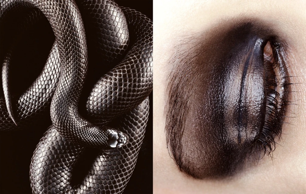 Dark makeup close-up with a black snake featuring intricate scale details on a black background, creating a contrasting beauty shot.