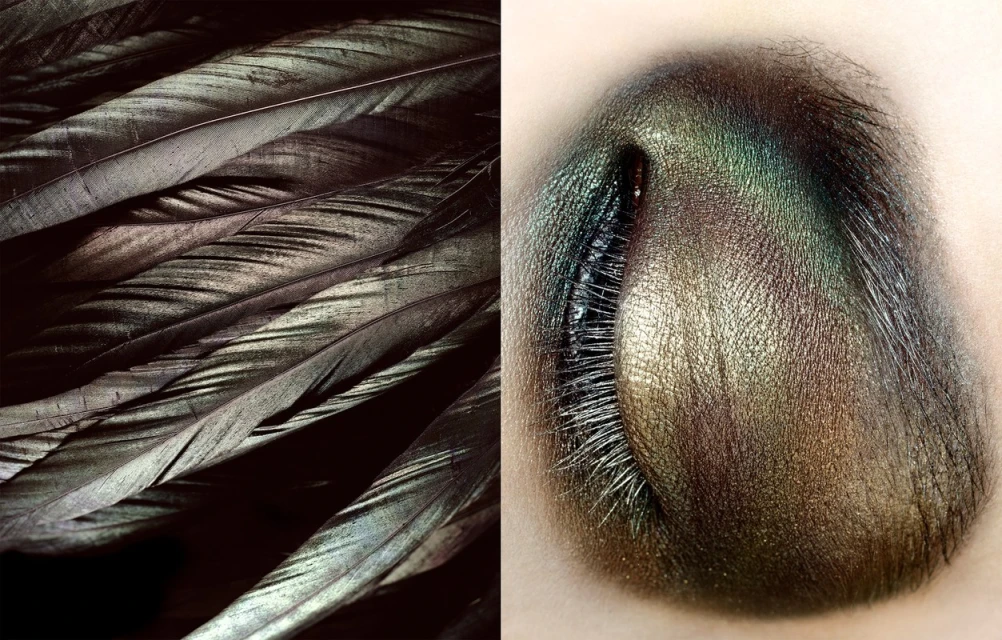 Extreme close-up of iridescent eye makeup and dark feathers in a split frame, showcasing details of beauty and texture.