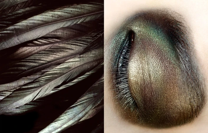 Extreme close-up of iridescent eye makeup and dark feathers in a split frame, showcasing details of beauty and texture.