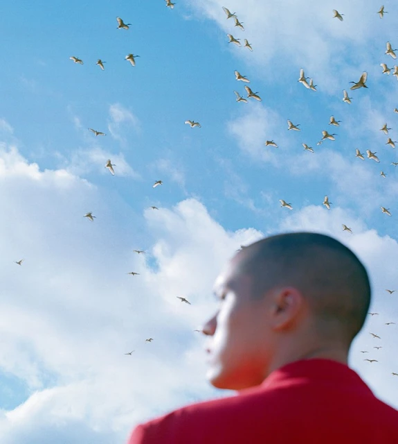 Man in a red shirt gazes up at a flock of white birds flying in a blue sky with scattered clouds, creating a sense of wonder and freedom.