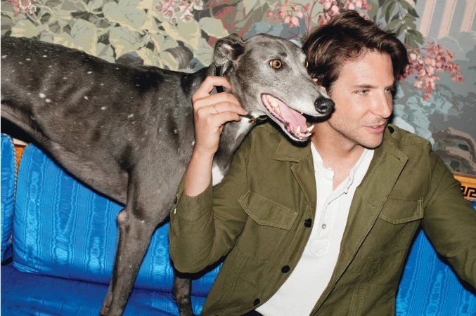 Bradley Cooper wearing an olive green jacket next to a grey greyhound dog on a blue sofa with patterned wallpaper