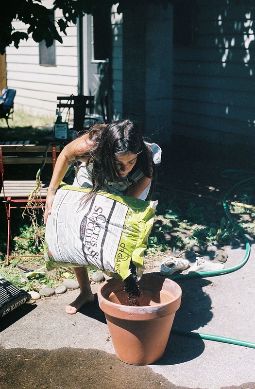 Woman potting a plant outdoors. She's pouring soil from a bag into a terracotta pot on a sunny day. House and greenery in the background.