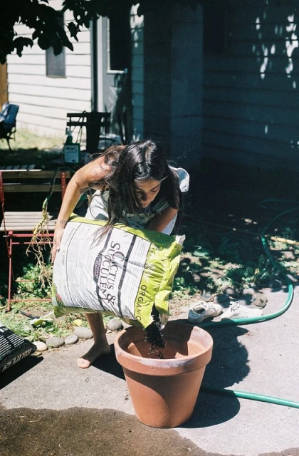 Woman potting a plant outdoors. She's pouring soil from a bag into a terracotta pot on a sunny day. House and greenery in the background.