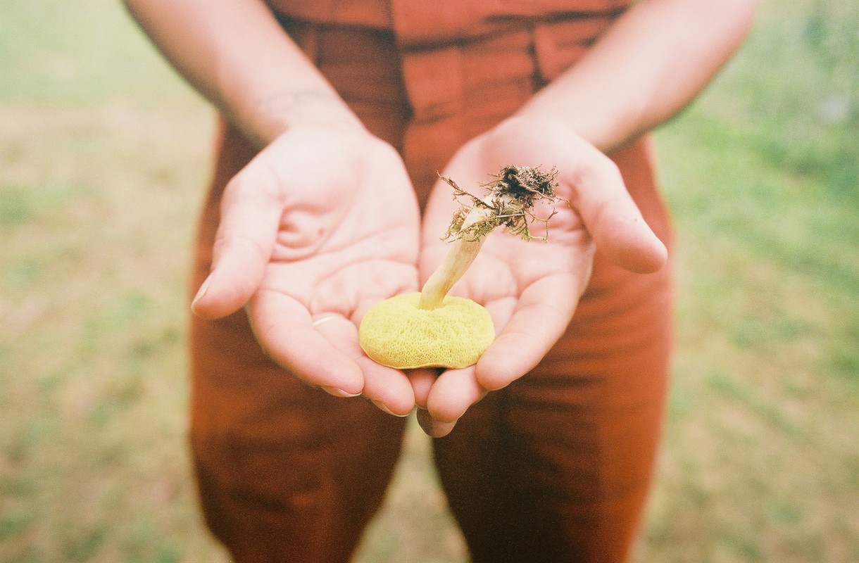 Close-up of yellow mushroom in a woman's cupped hands, showcasing earthy tones, natural textures, and soft lighting in an outdoor setting.