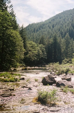 Scenic view of a shallow river flowing through a lush green forest with trees and rocks, creating a tranquil natural landscape on a sunny day.