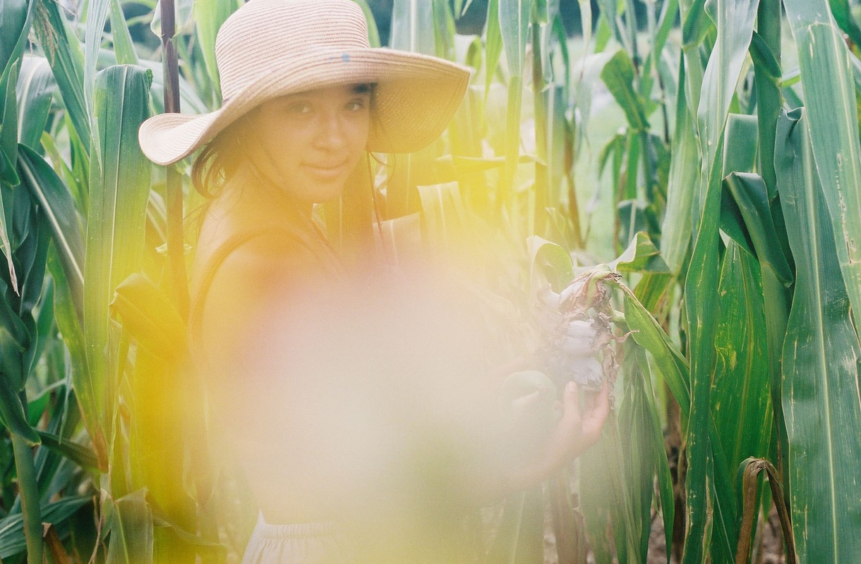 Woman in straw hat stands in corn field, holding crop. Sunlight filters through green leaves. Soft, dreamlike aesthetic, eye-level shot.