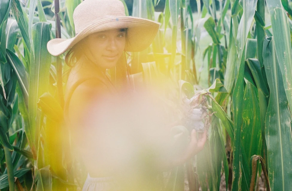 Woman in straw hat stands in corn field, holding crop. Sunlight filters through green leaves. Soft, dreamlike aesthetic, eye-level shot.