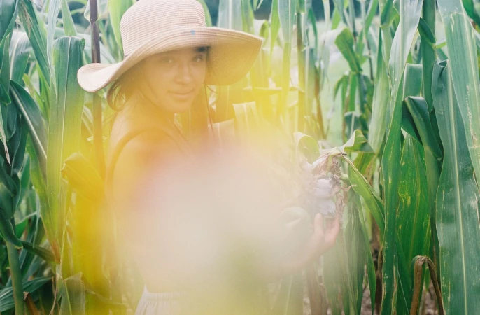 Woman in straw hat stands in corn field, holding crop. Sunlight filters through green leaves. Soft, dreamlike aesthetic, eye-level shot.