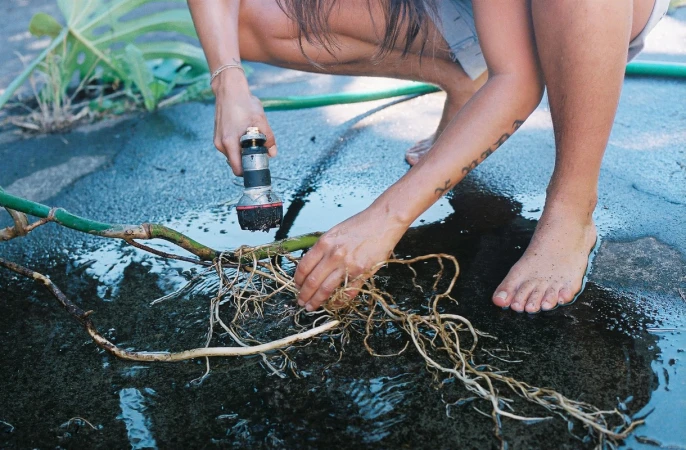 Person is washing roots of plant outdoors with hose. Bare feet visible. Preparing new plant for potting in a home garden. 