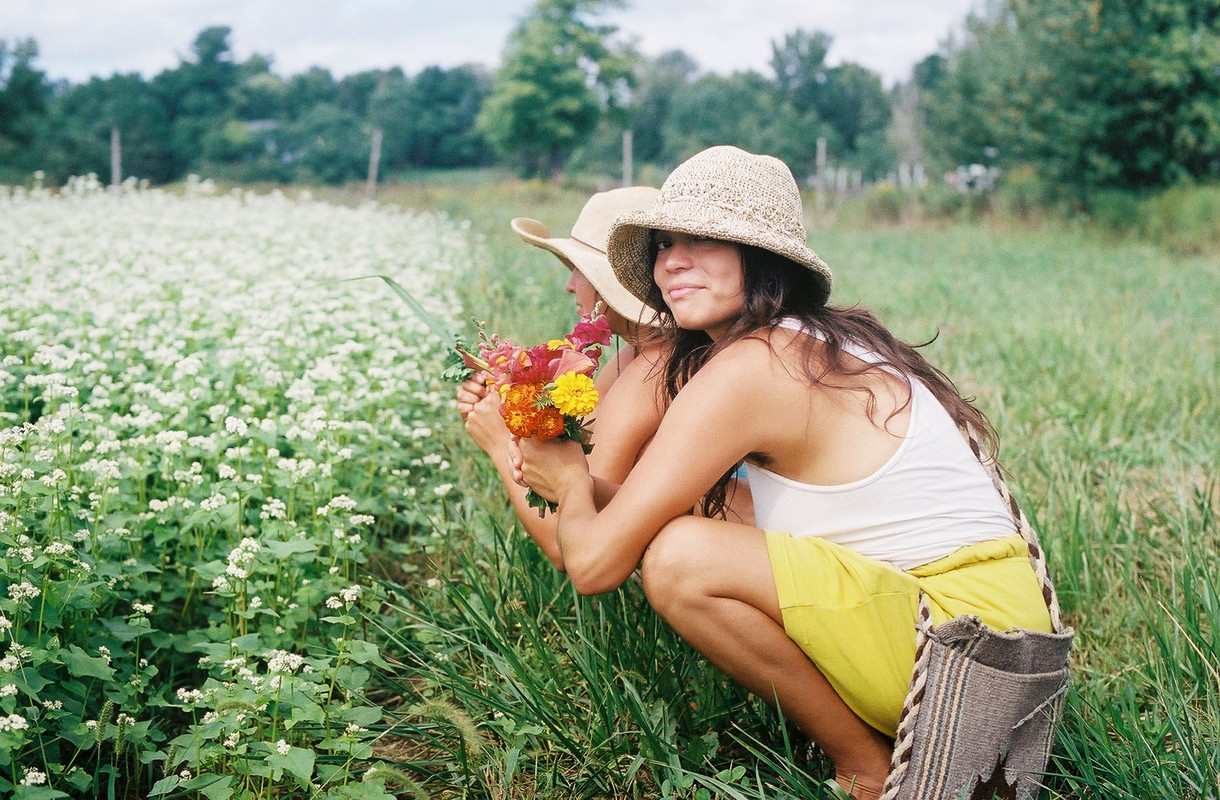Two women with straw hats picking flowers in a field of white buckwheat blossoms on a sunny day, with a forest visible in the background.