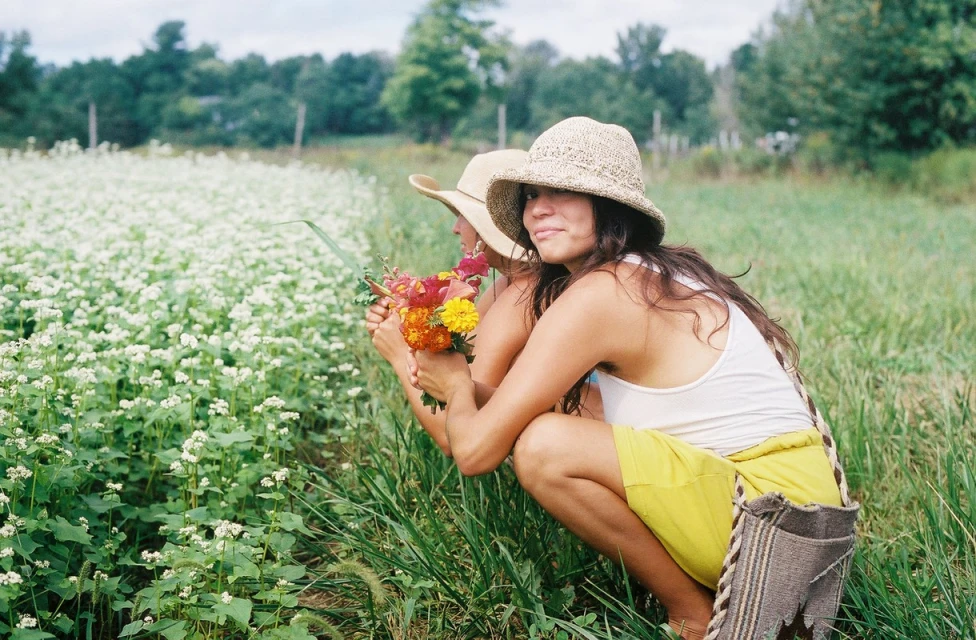 Two women with straw hats picking flowers in a field of white buckwheat blossoms on a sunny day, with a forest visible in the background.
