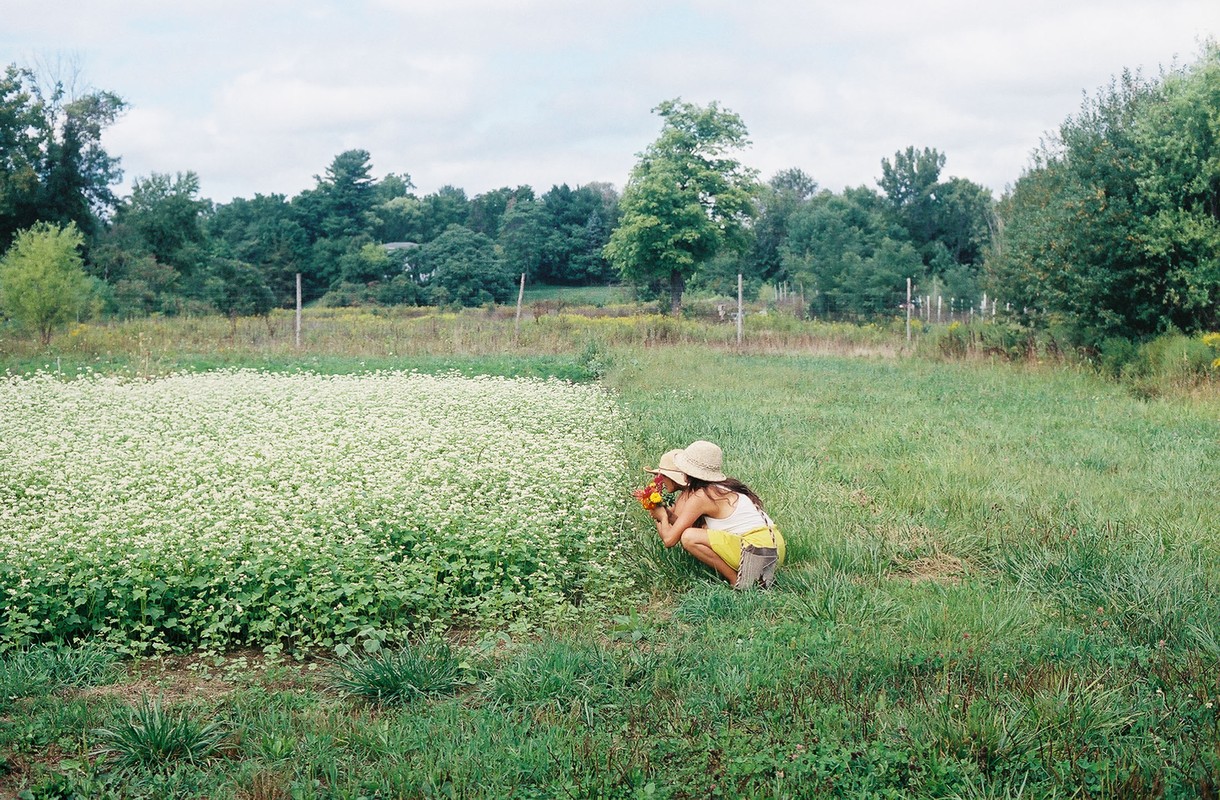 Young woman harvesting flowers in a field, wearing a sun hat and yellow shorts, surrounded by greenery on a bright, overcast day.