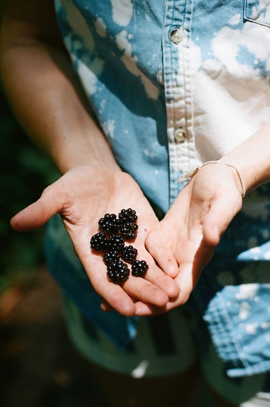 A person holds a handful of fresh, ripe blackberries. The shot is a medium close-up, showing the blue tie-dye shirt and hands.
