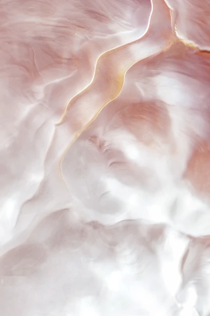 Abstract aerial view of pale pink and white landscape with fluid-like patterns and flowing, curving lines; organic and flowing forms.