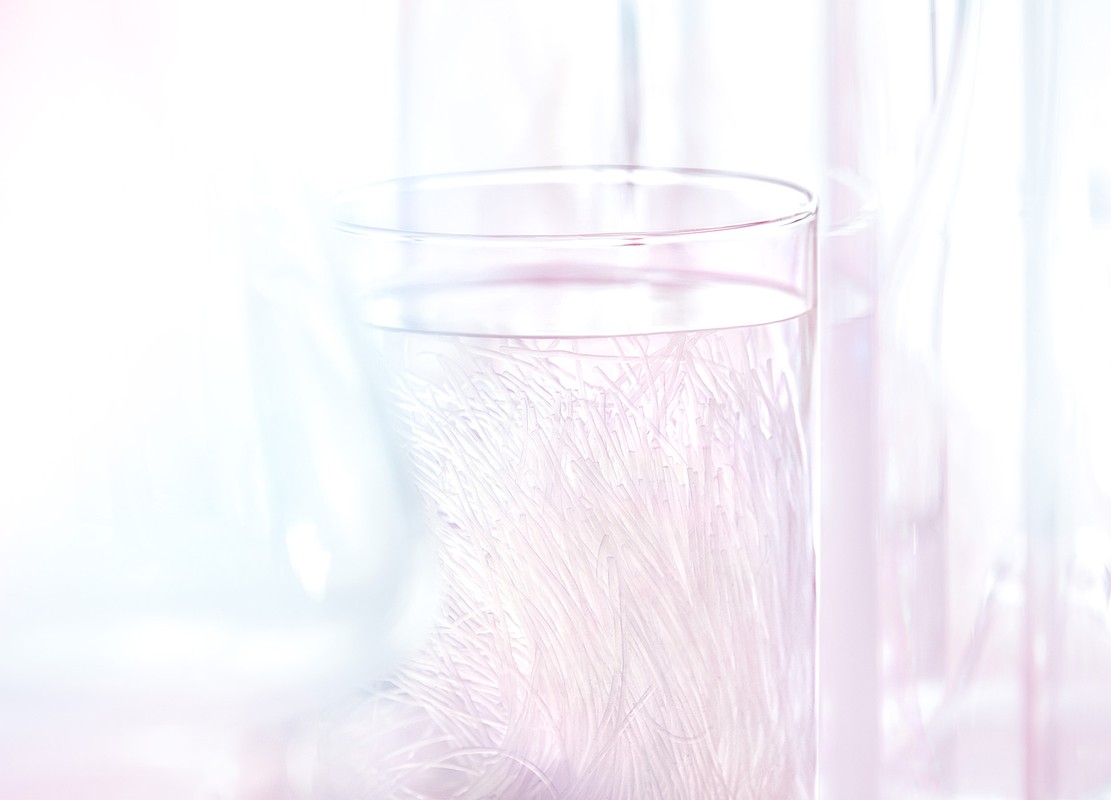 Clear glass vase with water and white decorative elements; soft, bright indoor lighting creates a clean, minimalist aesthetic.