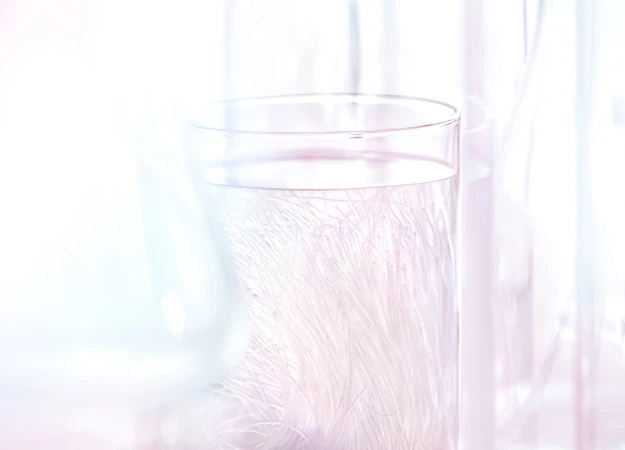 Clear glass vase with water and white decorative elements; soft, bright indoor lighting creates a clean, minimalist aesthetic.