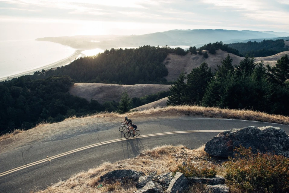 Two cyclists ride bikes on a winding road overlooking a forest and ocean, with hills and trees under a bright sky with the sun shining.